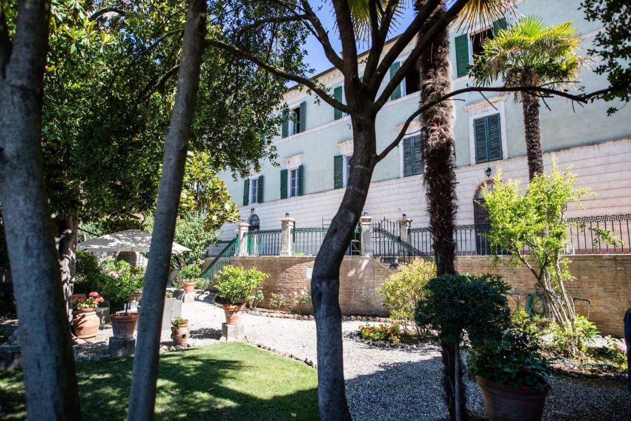 Bonelli Siena