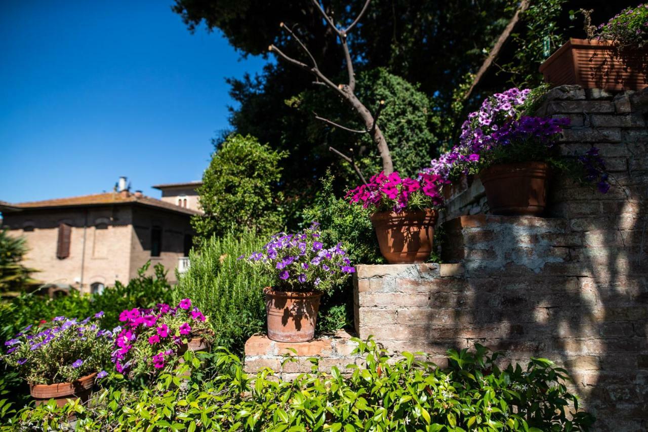 Apartamento Bonelli *